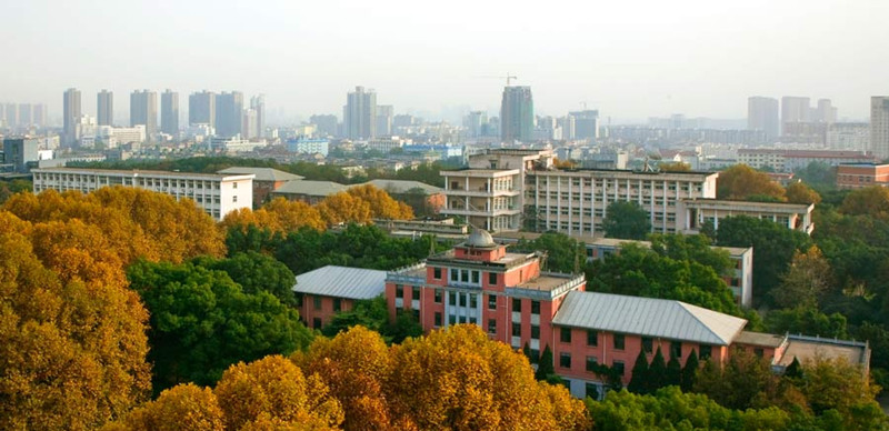 顶部图像的内容
